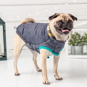 Go Fresh Pet Elastofit Plaid Reversible Jacket